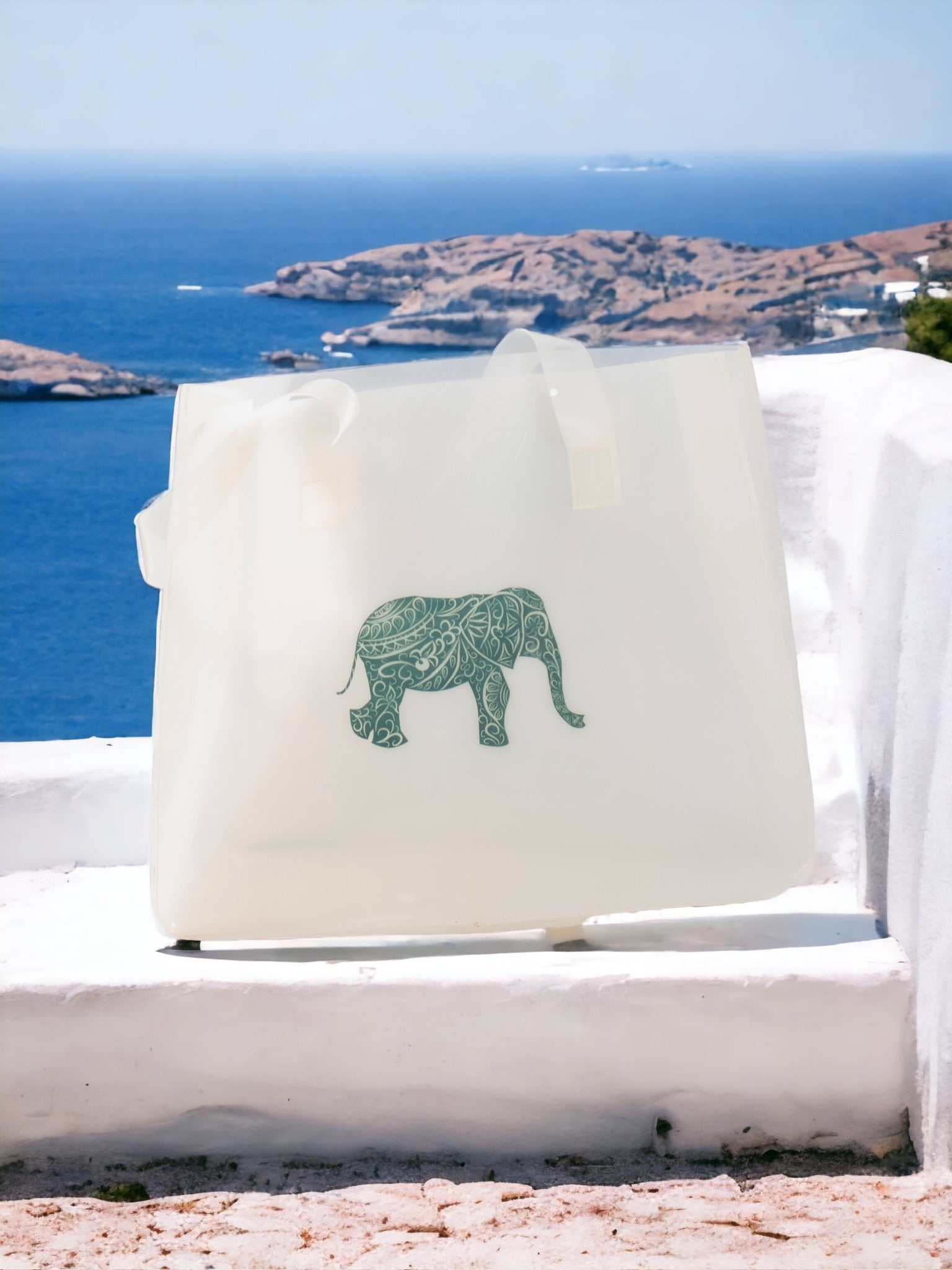 Printed white Transparent Bag